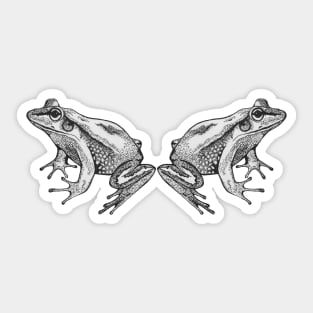 Two cute bnw frogs Sticker